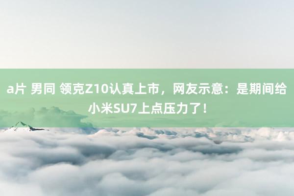 a片 男同 领克Z10认真上市，<a href=