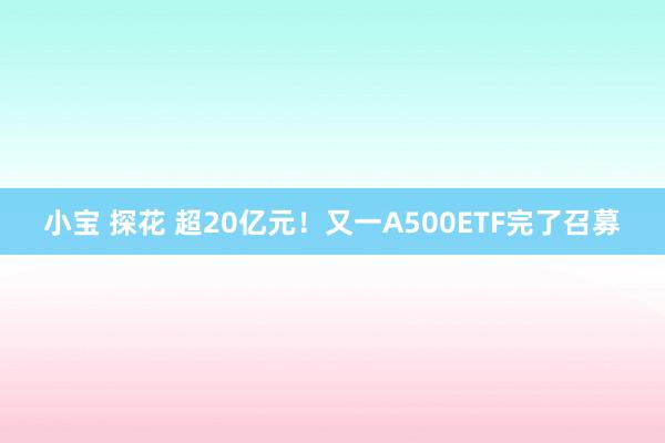 小宝 探花 超20亿元！又一A500ETF完了召募