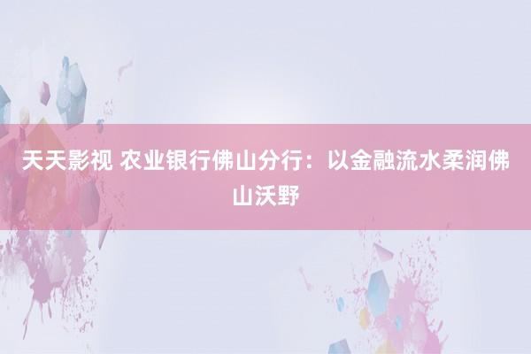 天天影视 农业银行佛山分行：以金融流水柔润佛山沃野
