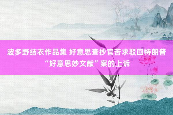 波多野结衣作品集 好意思查抄官苦求驳回特朗普“好意思妙文献”案的上诉