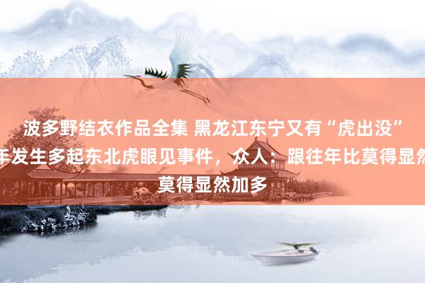 波多野结衣作品全集 黑龙江东宁又有“虎出没”？本年发生多起东北虎眼见事件，众人：跟往年比莫得显然加多