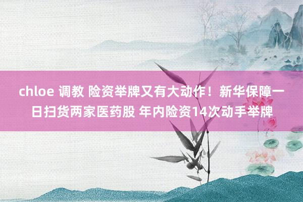 chloe 调教 险资举牌又有大动作！新华保障一日扫货两家医药股 年内险资14次动手举牌