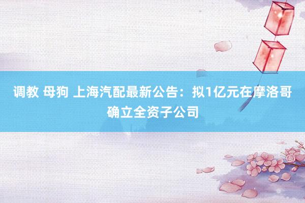 调教 母狗 上海汽配最新公告：拟1亿元在摩洛哥确立全资子公司