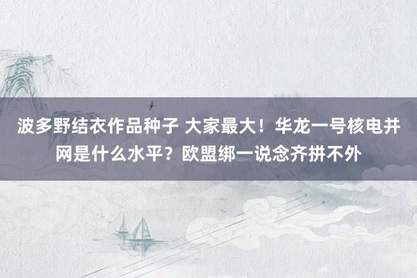 波多野结衣作品种子 大家最大！华龙一号核电并网是什么水平？欧盟绑一说念齐拼不外