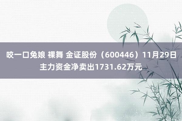 咬一口兔娘 裸舞 金证股份（600446）11月29日主力资金净卖出1731.62万元