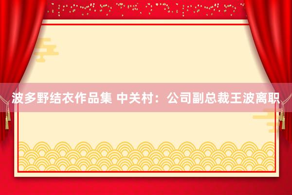 波多野结衣作品集 中关村：公司副总裁王波离职