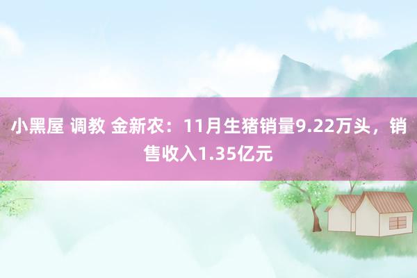 小黑屋 调教 金新农：11月生猪销量9.22万头，销售收入1.35亿元