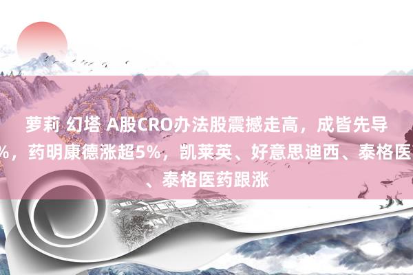 萝莉 幻塔 A股CRO办法股震撼走高，成皆先导涨超6%，药明康德涨超5%，凯莱英、好意思迪西、泰格医药跟涨