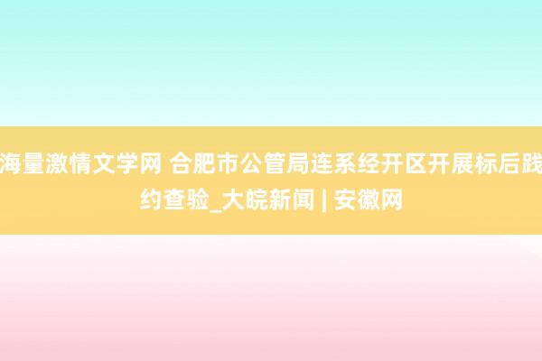 海量激情文学网 合肥市公管局连系经开区开展标后践约查验_大皖新闻 | 安徽网