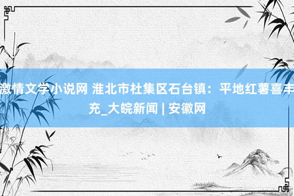 激情文学小说网 淮北市杜集区石台镇：平地红薯喜丰充_大皖新闻 | 安徽网