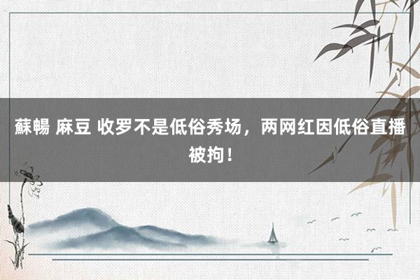 蘇暢 麻豆 收罗不是低俗秀场，两网红因低俗直播被拘！