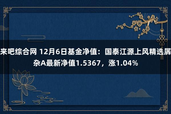 来吧综合网 12月6日基金净值：国泰江源上风精选羼杂A最新净值1.5367，涨1.04%