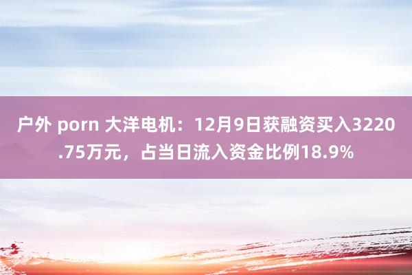 户外 porn 大洋电机：12月9日获融资买入3220.75万元，占当日流入资金比例18.9%
