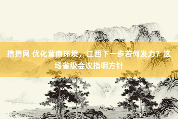 撸撸网 优化营商环境，江西下一步若何发力？这场省级会议指明方针