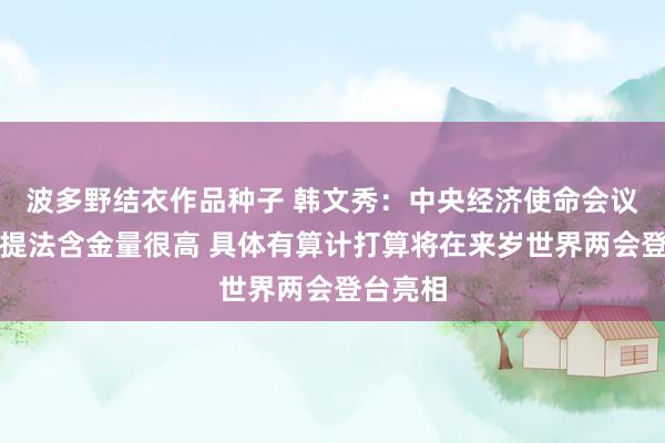 波多野结衣作品种子 韩文秀：中央经济使命会议政策新提法含金量很高 具体有算计打算将在来岁世界两会登台亮相