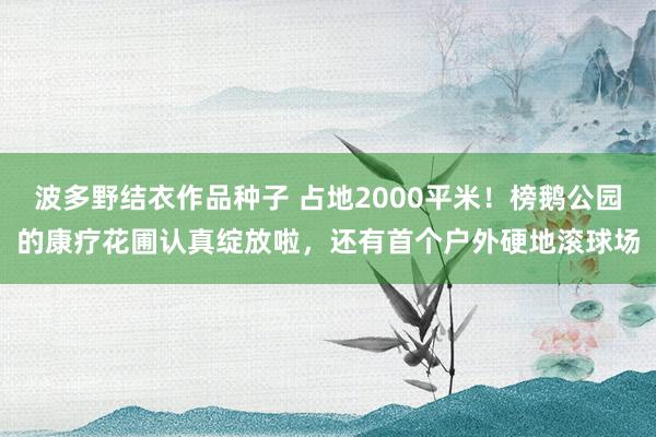 波多野结衣作品种子 占地2000平米！榜鹅公园的康疗花圃认真绽放啦，还有首个户外硬地滚球场