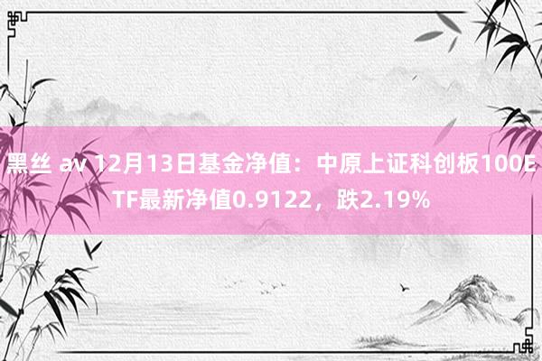 黑丝 av 12月13日基金净值：中原上证科创板100ETF最新净值0.9122，跌2.19%
