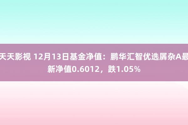 天天影视 12月13日基金净值：鹏华汇智优选羼杂A最新净值0.6012，跌1.05%