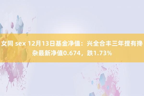 女同 sex 12月13日基金净值：兴全合丰三年捏有搀杂最新净值0.674，跌1.73%