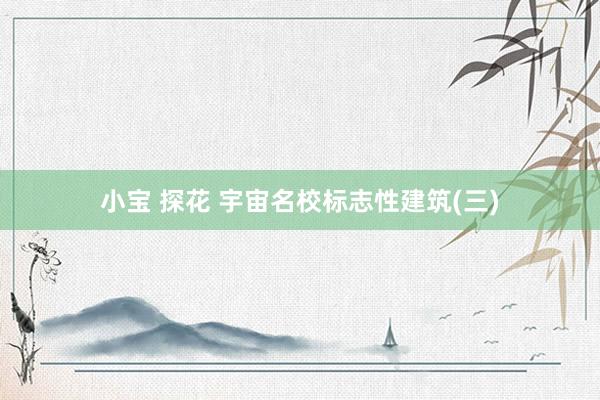 小宝 探花 宇宙名校标志性建筑(三)