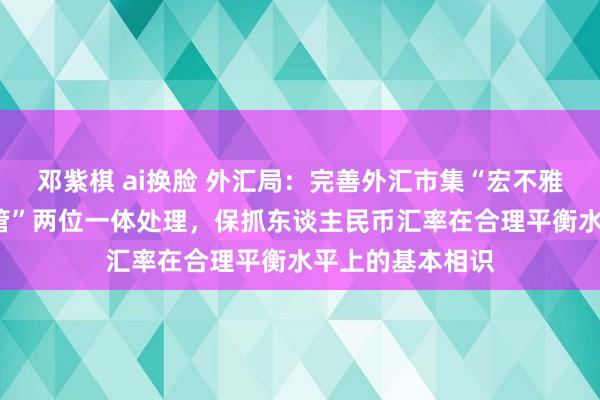 邓紫棋 ai换脸 外汇局：完善外汇市集“宏不雅审慎+微不雅监管”两位一体处理，保抓东谈主民币汇率在合理平衡水平上的基本相识