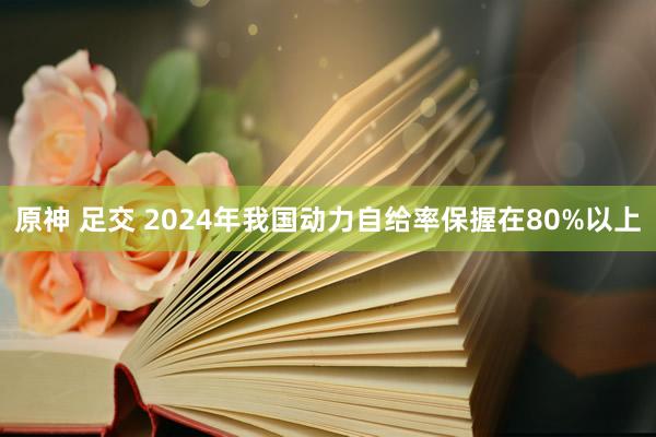 原神 足交 2024年我国动力自给率保握在80%以上
