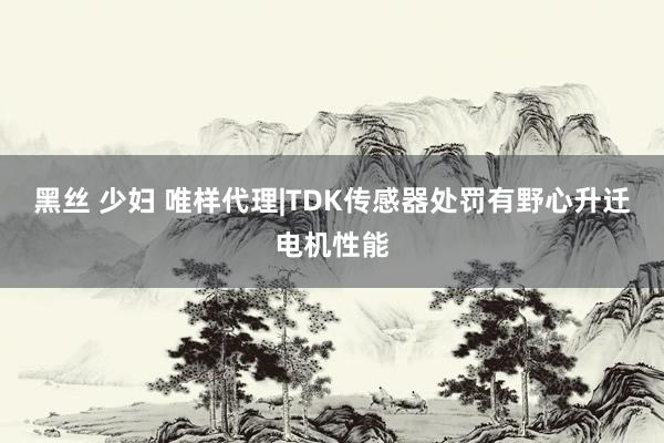 黑丝 少妇 唯样代理|TDK传感器处罚有野心升迁电机性能