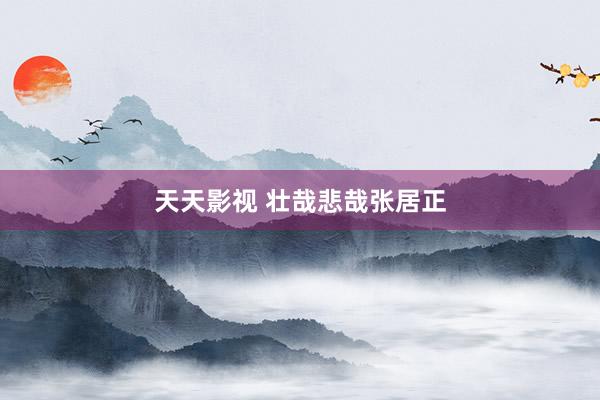 天天影视 壮哉悲哉张居正