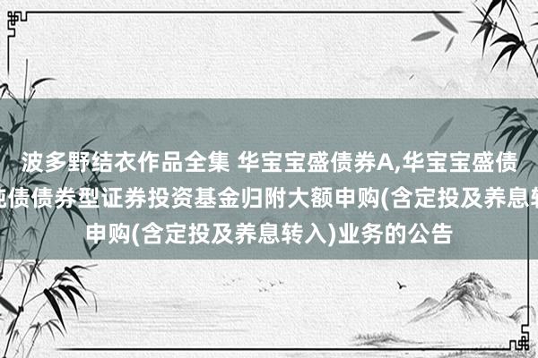波多野结衣作品全集 华宝宝盛债券A,华宝宝盛债券C: 华宝宝盛纯债债券型证券投资基金归附大额申购(含定投及养息转入)业务的公告