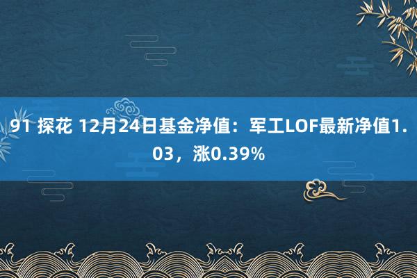 91 探花 12月24日基金净值：军工LOF最新净值1.03，涨0.39%