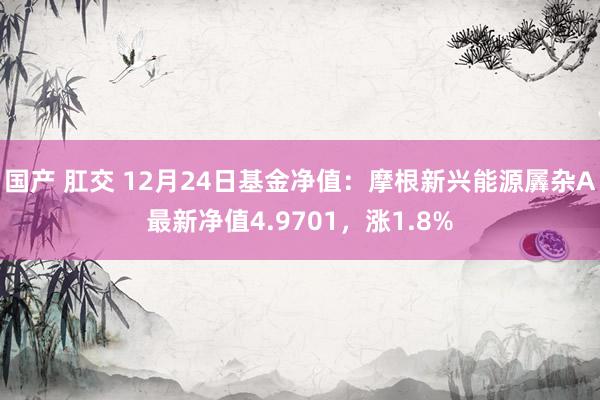 国产 肛交 12月24日基金净值：摩根新兴能源羼杂A最新净值4.9701，涨1.8%