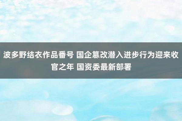 波多野结衣作品番号 国企篡改潜入进步行为迎来收官之年 国资委最新部署