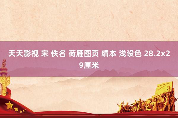 天天影视 宋 佚名 荷雁图页 绢本 浅设色 28.2x29厘米