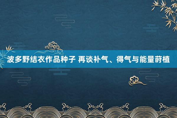 波多野结衣作品种子 再谈补气、得气与能量莳植