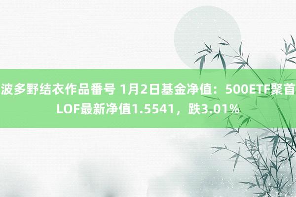 波多野结衣作品番号 1月2日基金净值：500ETF聚首LOF最新净值1.5541，跌3.01%