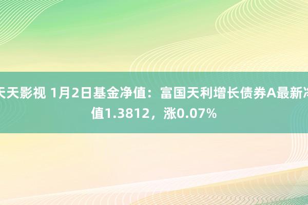 天天影视 1月2日基金净值：富国天利增长债券A最新净值1.3812，涨0.07%
