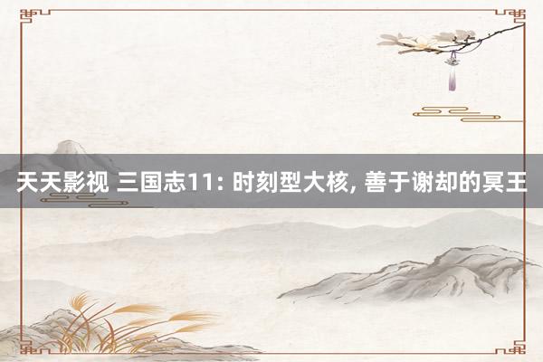 天天影视 三国志11: 时刻型大核， 善于谢却的冥王
