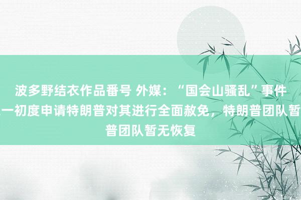 波多野结衣作品番号 外媒：“国会山骚乱”事件主谋之一初度申请特朗普对其进行全面赦免，特朗普团队暂无恢复