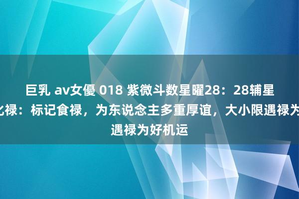 巨乳 av女優 018 紫微斗数星曜28:28辅星——01化禄:标记食禄,为东说念主多重厚谊,大小限遇禄为好机运
