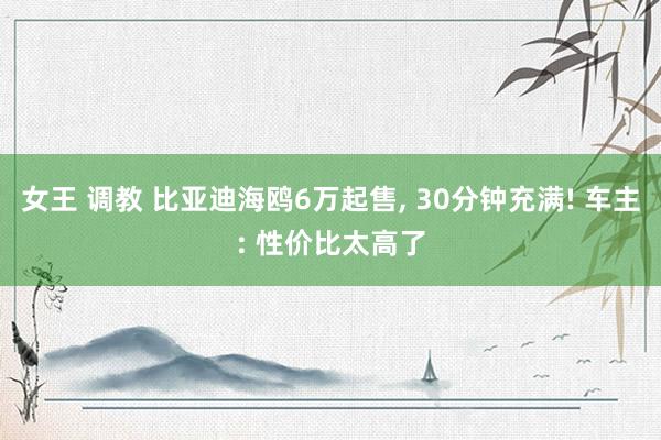 女王 调教 比亚迪海鸥6万起售， 30分钟充满! 车主: 性价比太高了
