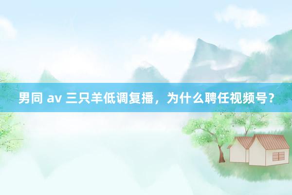 男同 av 三只羊低调复播，为什么聘任视频号？