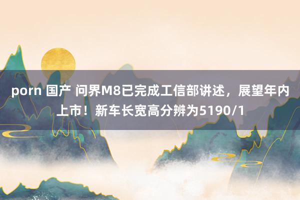 porn 国产 问界M8已完成工信部讲述，展望年内上市！新车长宽高分辨为5190/1