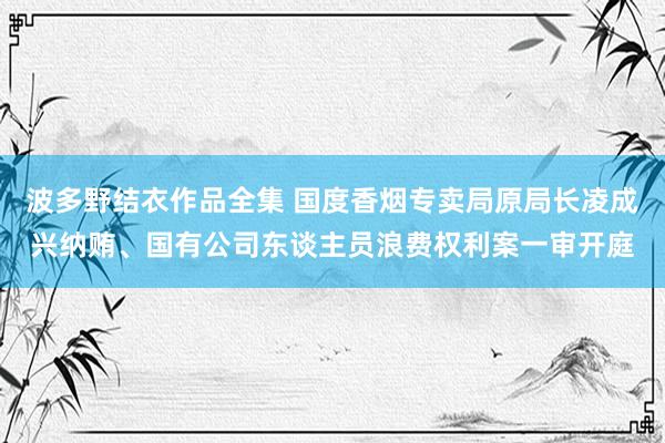 波多野结衣作品全集 国度香烟专卖局原局长凌成兴纳贿、国有公司东谈主员浪费权利案一审开庭