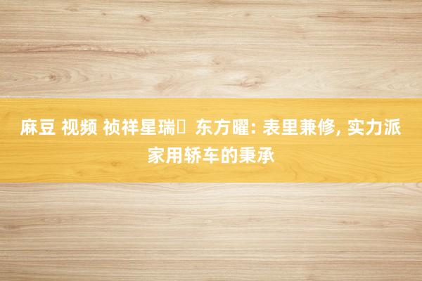 麻豆 视频 祯祥星瑞・东方曜: 表里兼修， 实力派家用轿车的秉承