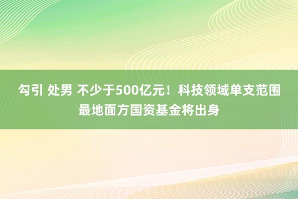 勾引 处男 不少于500亿元！科技领域单支范围最地面方国资基金将出身