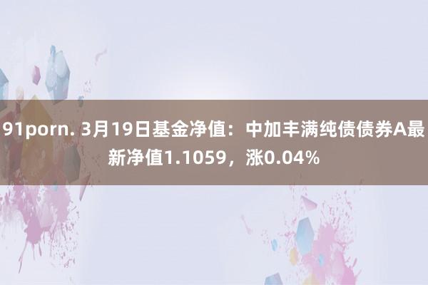 91porn. 3月19日基金净值：中加丰满纯债债券A最新净值1.1059，涨0.04%
