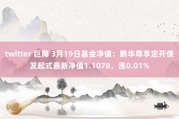 twitter 巨屌 3月19日基金净值：鹏华尊享定开债发起式最新净值1.1078，涨0.01%