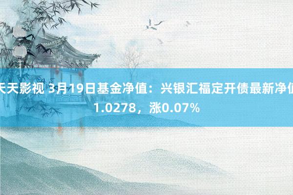 天天影视 3月19日基金净值：兴银汇福定开债最新净值1.0278，涨0.07%