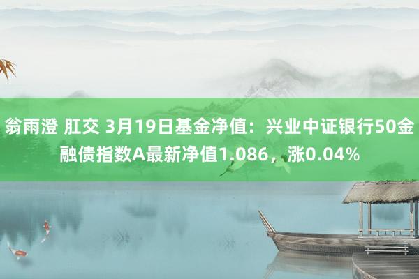 翁雨澄 肛交 3月19日基金净值：兴业中证银行50金融债指数A最新净值1.086，涨0.04%