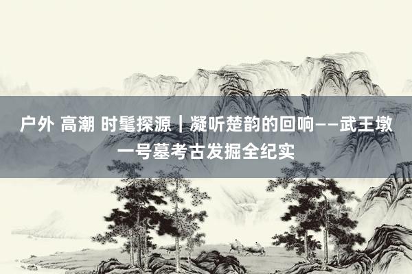 户外 高潮 时髦探源｜凝听楚韵的回响——武王墩一号墓考古发掘全纪实